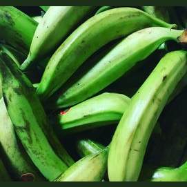 Platano