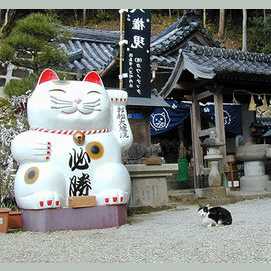 Japon