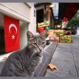 Turquie