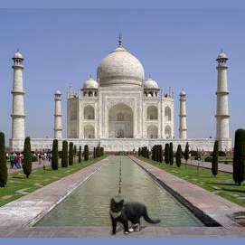 Inde