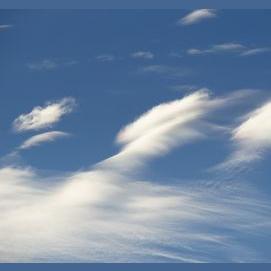 Wind
