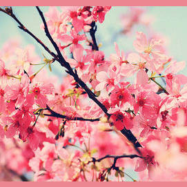 Spring