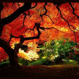 Autumn 
