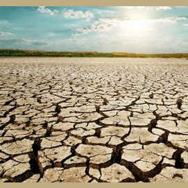 Drought