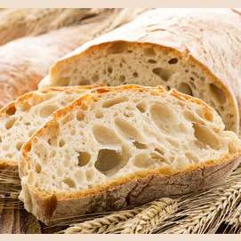 Bread