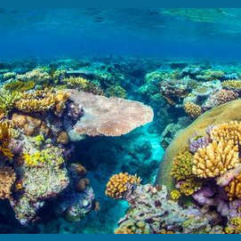 This pristine ocean