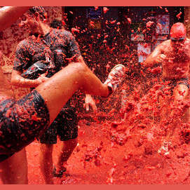 Tomatina Tomato Fight.
