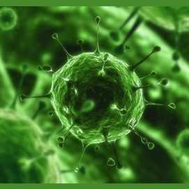 A Virus