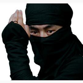 A Ninja