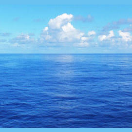 The ocean