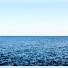 The Ocean