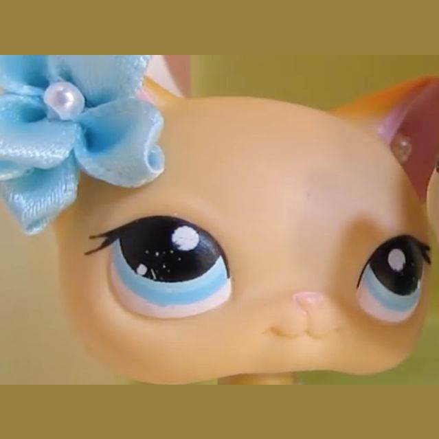 Alice 