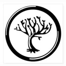amity