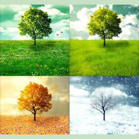 A mixture of all types!