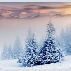 Snow on the ground
