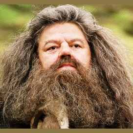 Rubeus Hagrid