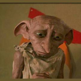 Go to the Yule Ball with one of the champions...but you have to work as a house elf for the rest of the year?