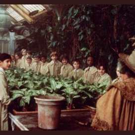 Herbology