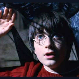 Invisibility Cloak