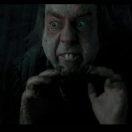 Peter Pettigrew