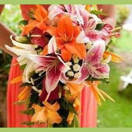 Lilies