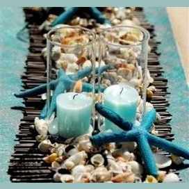 Seashells