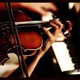Violinist 