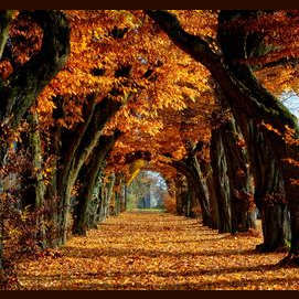 Autumn/Fall