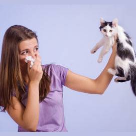I'm allergic
