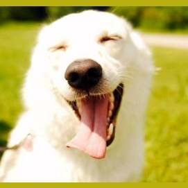 ¡Muy feliz!