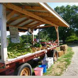 Roadside markets
