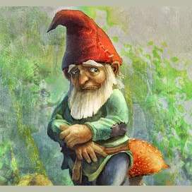 Gnome