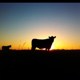 Rural