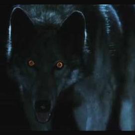 Werewolves