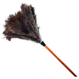 Duster