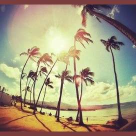 SUMMER