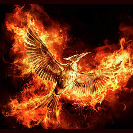 THE HUNGER GAMES SERIES