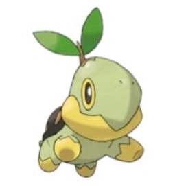 TURTWIG