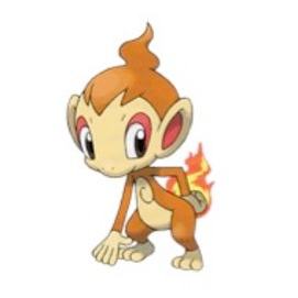 CHIMCHAR