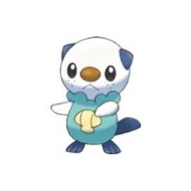 OSHAWOTT