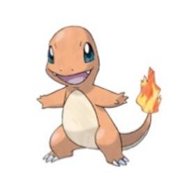 CHARMANDER