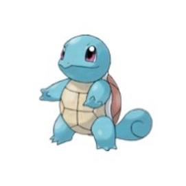 SQUIRTLE