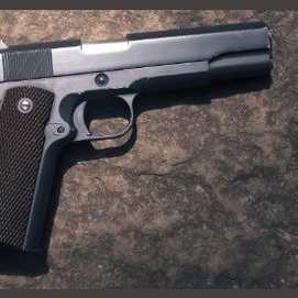 A GUN