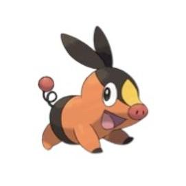 TEPIG