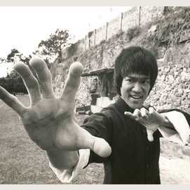 Martial Arts Master