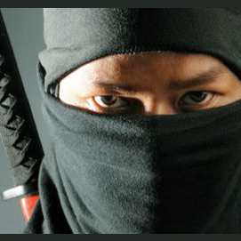 Ninja