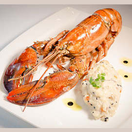 Lobster
