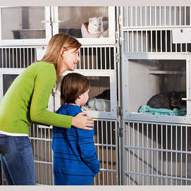 Shelters