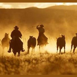 The Wild West