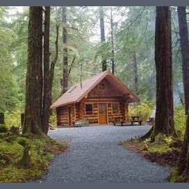 A lone cabin in the woods.